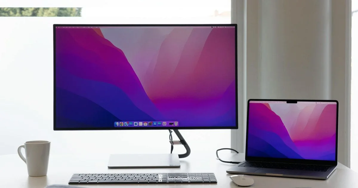 Which Blender Version - BlendHowTo