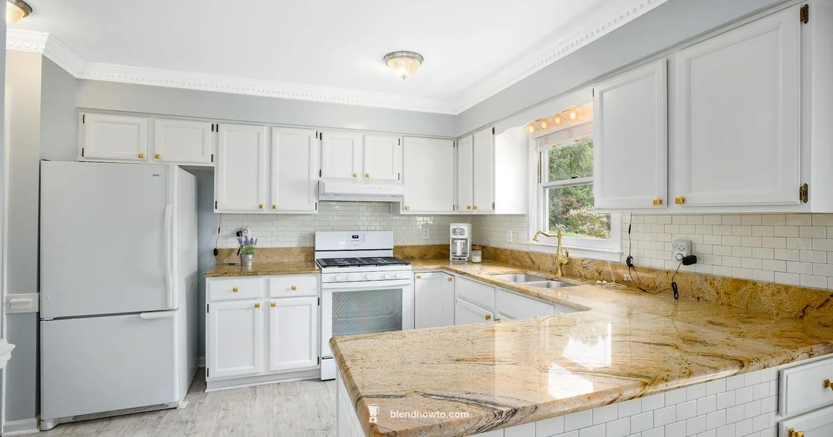 Japan Blender Guide Japan Blender Guide - BlendHowTo