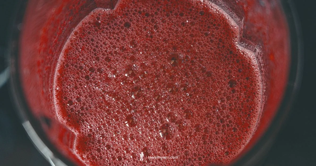 Immersion Blender Guide Immersion Blender Guide - BlendHowTo