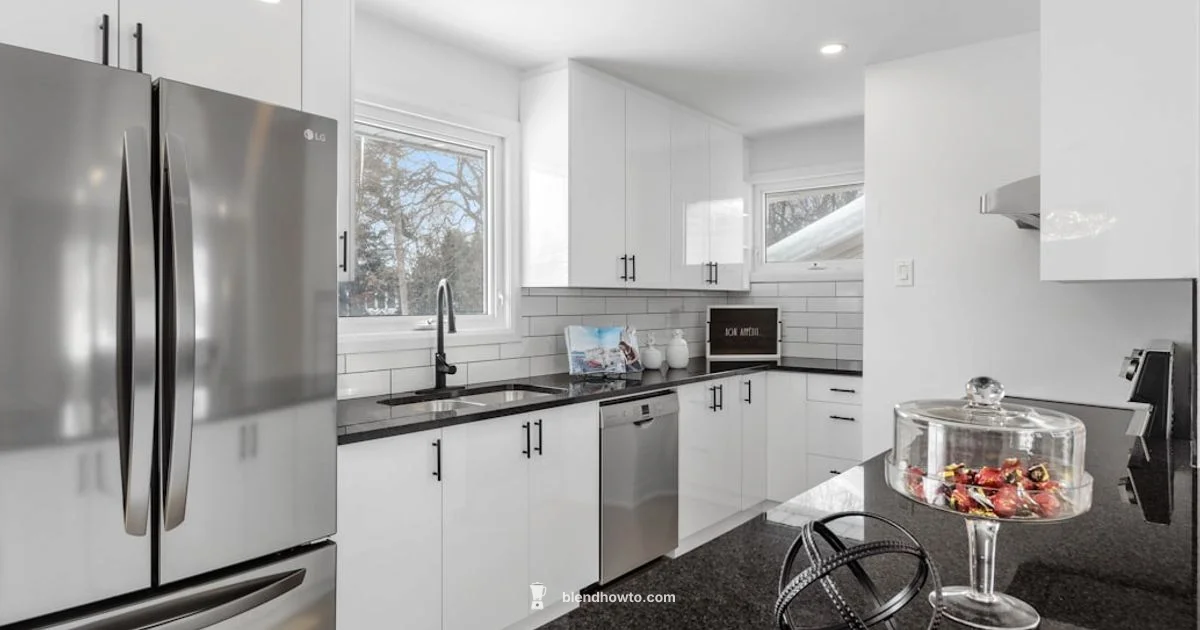 Blender Buy Guide - BlendHowTo