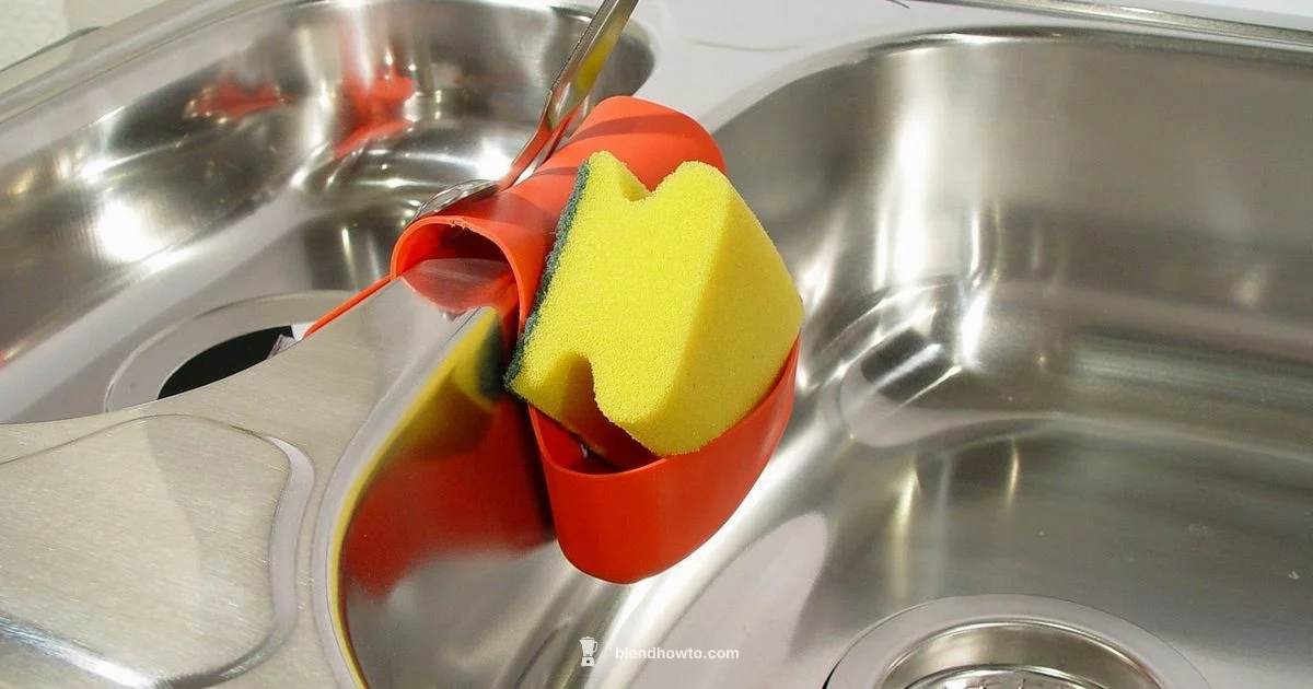 Mold-Free Beauty Sponges - BlendHowTo