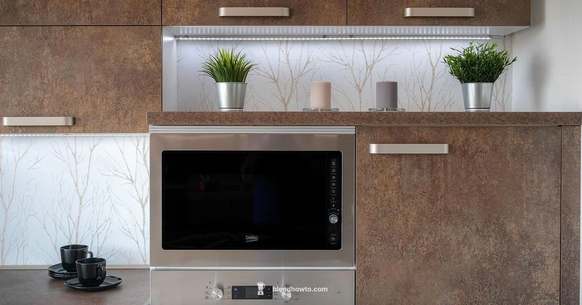 Kenwood Blender Overview - BlendHowTo