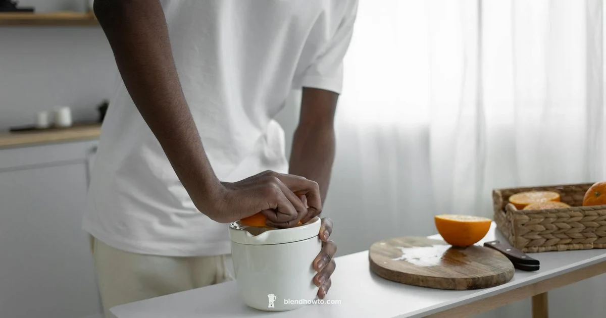 Juicer vs Blender - BlendHowTo