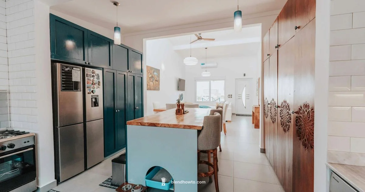 Chopper Blender Essentials - BlendHowTo