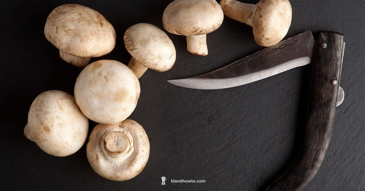 Ice Crushing Guide Ice Crushing Guide - BlendHowTo