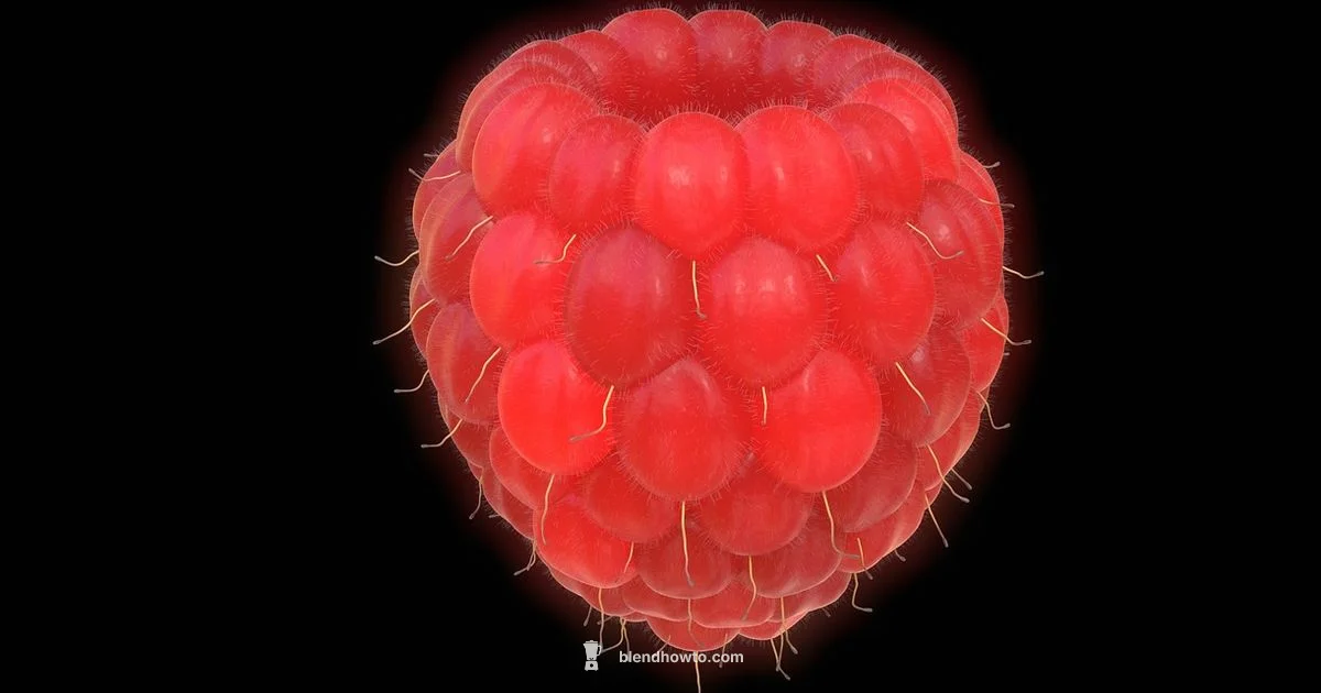 Blender Slushie Guide - BlendHowTo