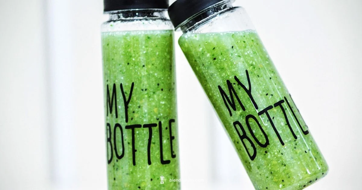 Bullet Smoothie Guide - BlendHowTo