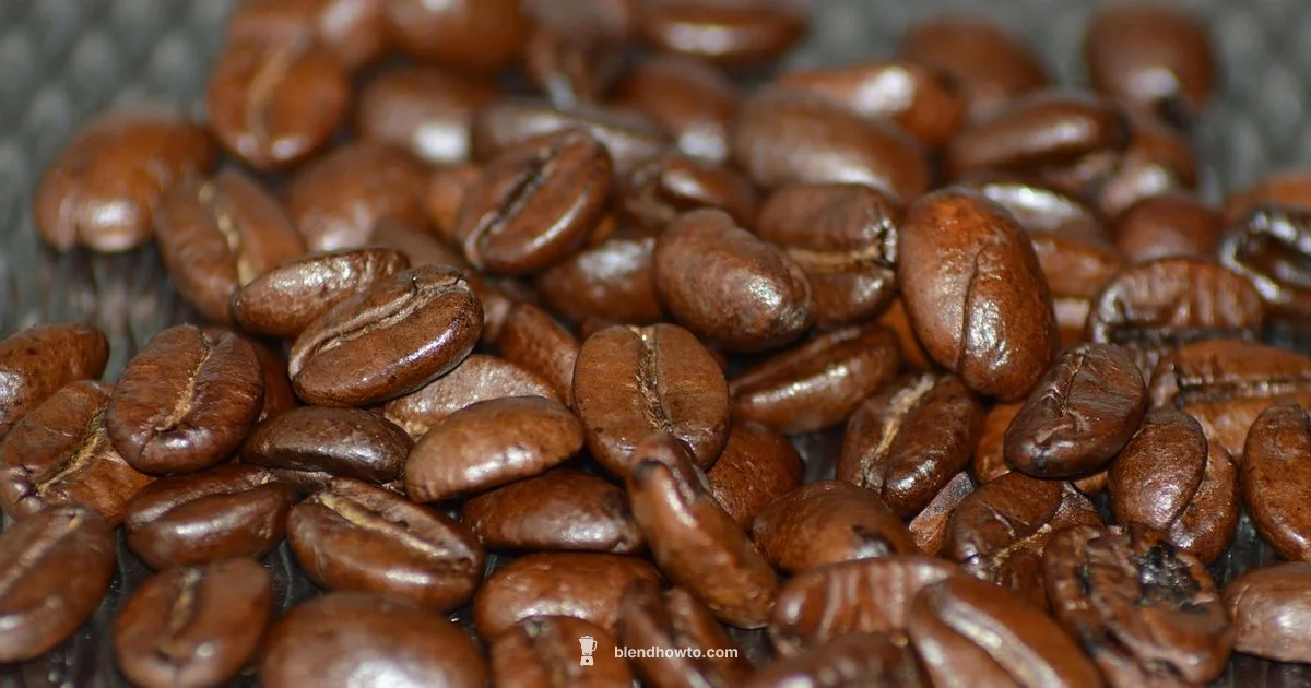 Blender Care Guide - BlendHowTo