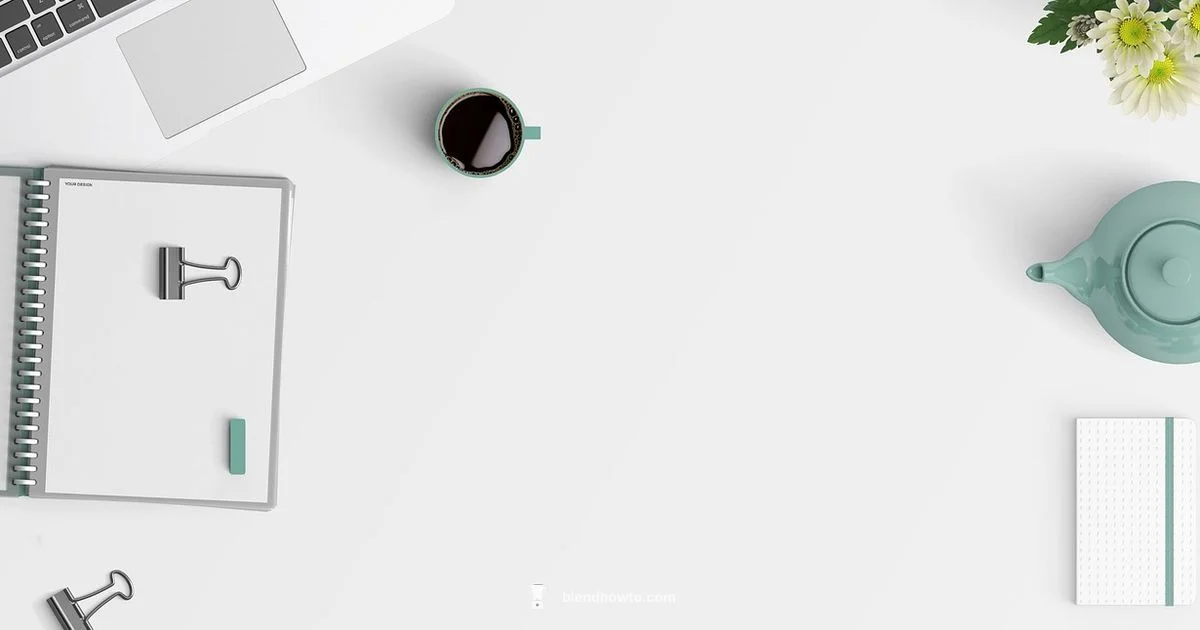 Blender Use Guide Blender Use Guide - BlendHowTo