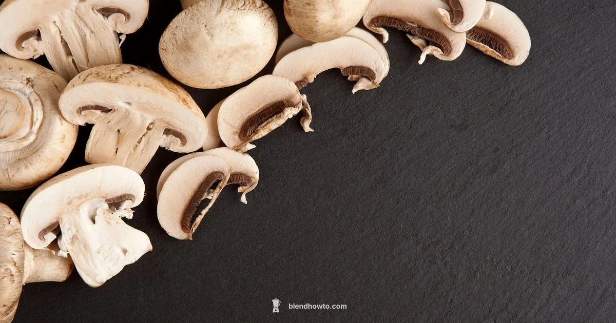 Best Blender 2026 Best Blender 2026 - BlendHowTo