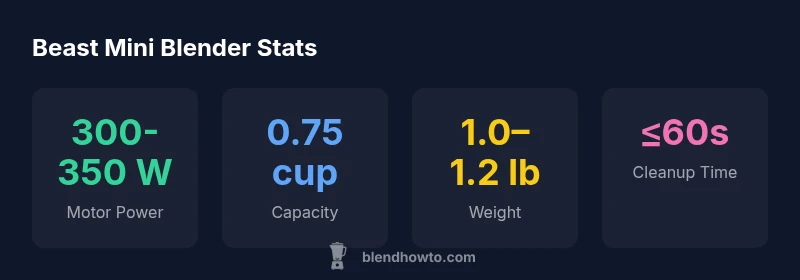 Infographic showing Beast Mini Blender stats