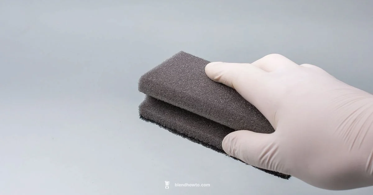 Fungal Acne Guide - BlendHowTo