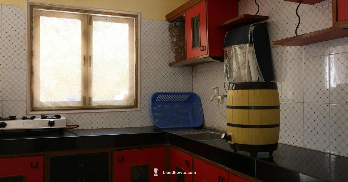 India Blender Picks - BlendHowTo