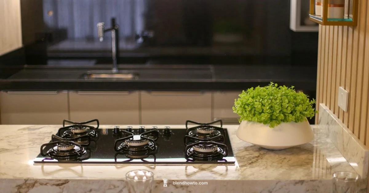 Blender vs Processor - BlendHowTo