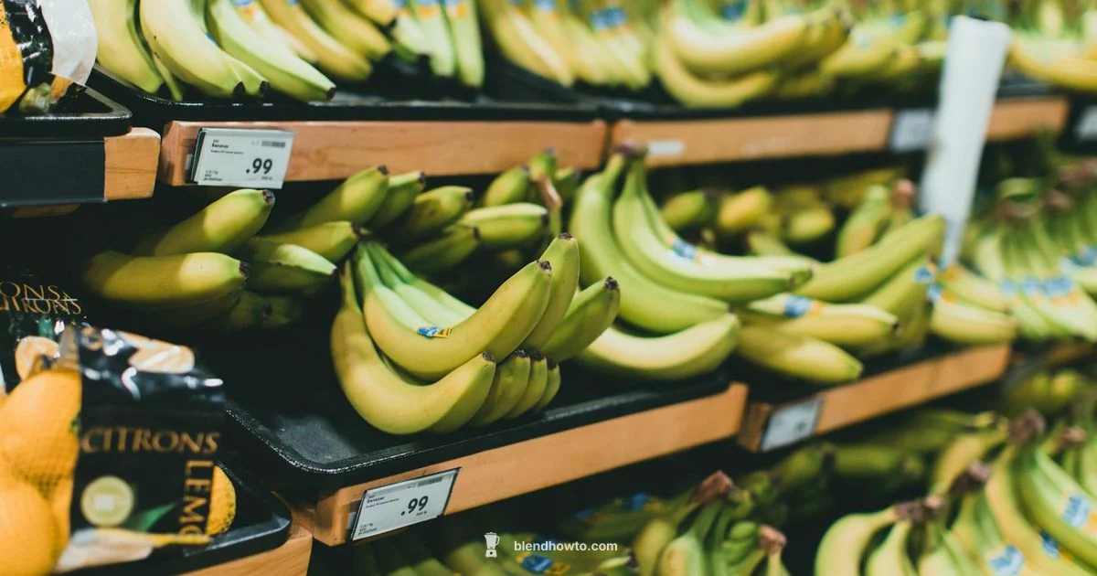 Find Your Blender Find Your Blender - BlendHowTo