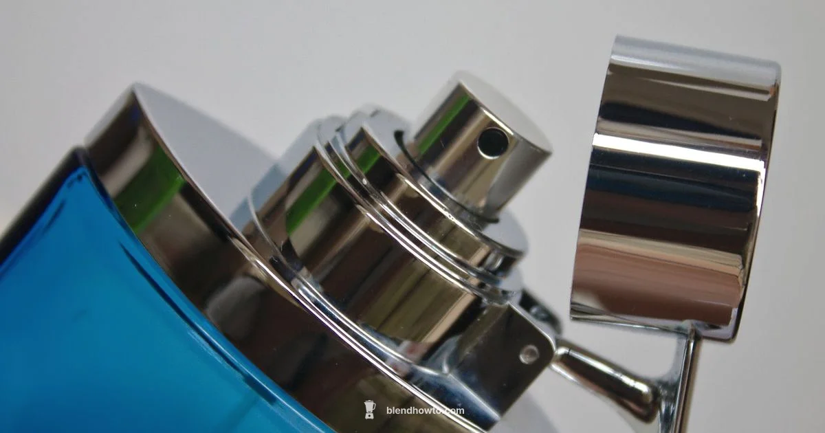 Personal Blender Bottle - BlendHowTo