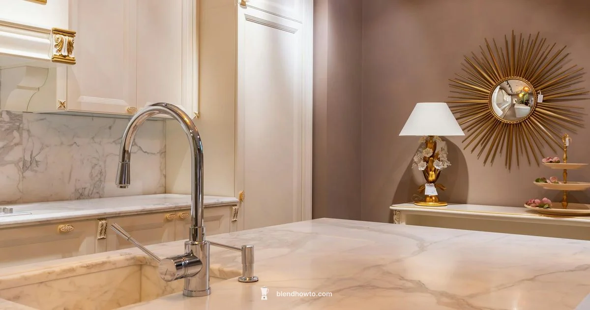 Vitamix Alta Pro Review - BlendHowTo