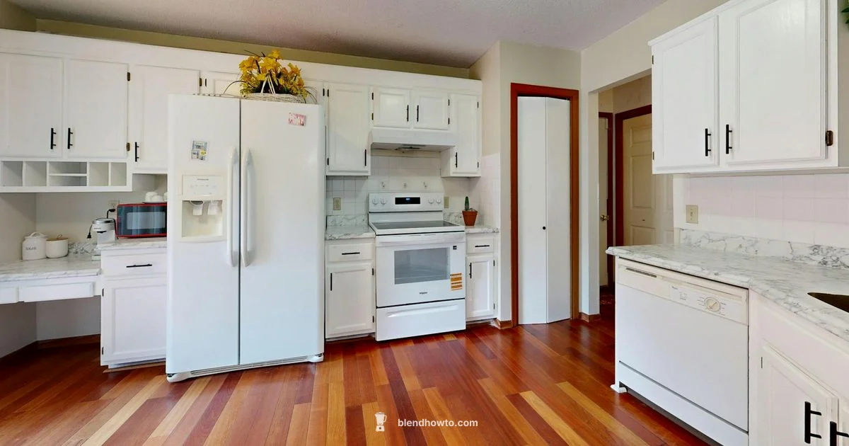 Ninja vs NutriBullet - BlendHowTo