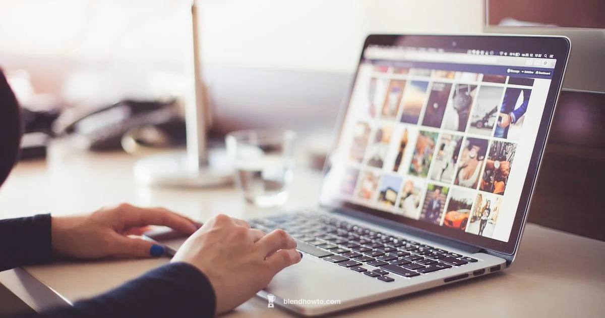 Blender Basics Blender Basics - BlendHowTo