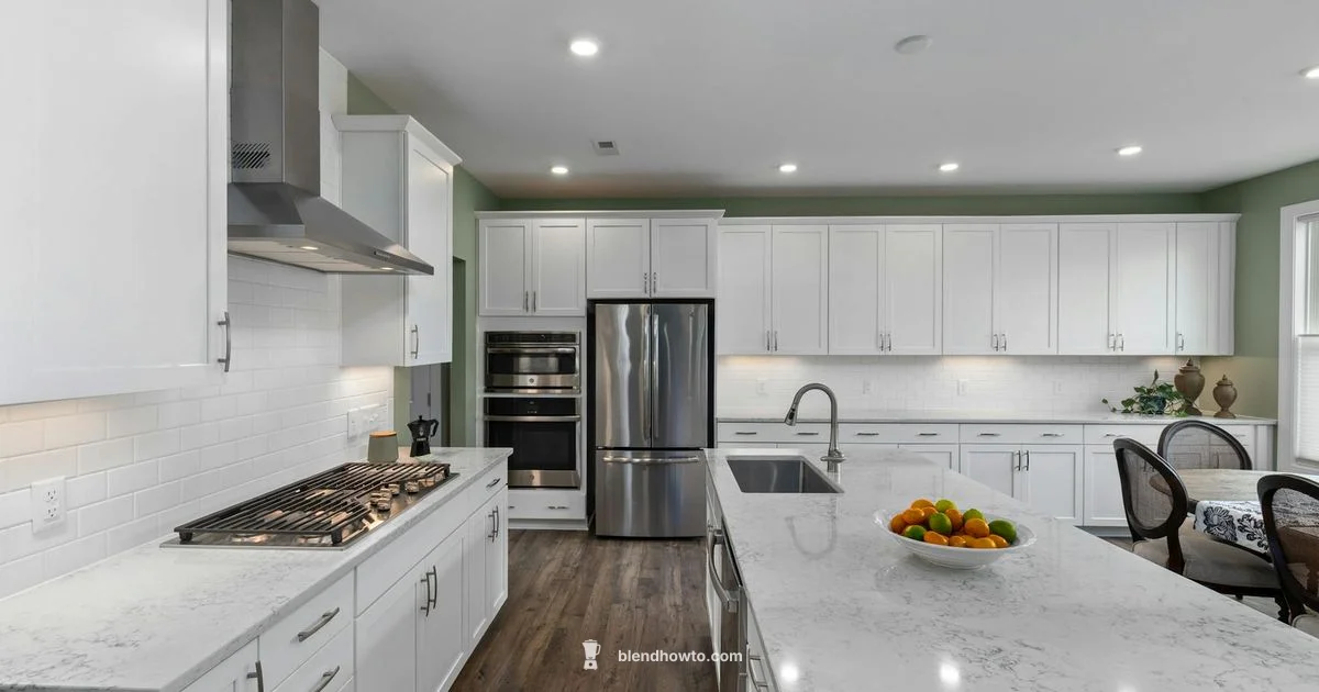 Best Blender Brands - BlendHowTo