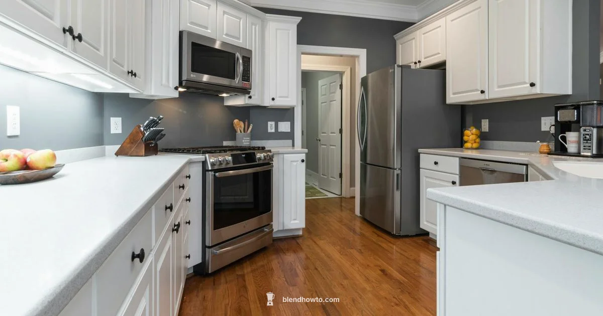 Hamilton Beach Guide - BlendHowTo