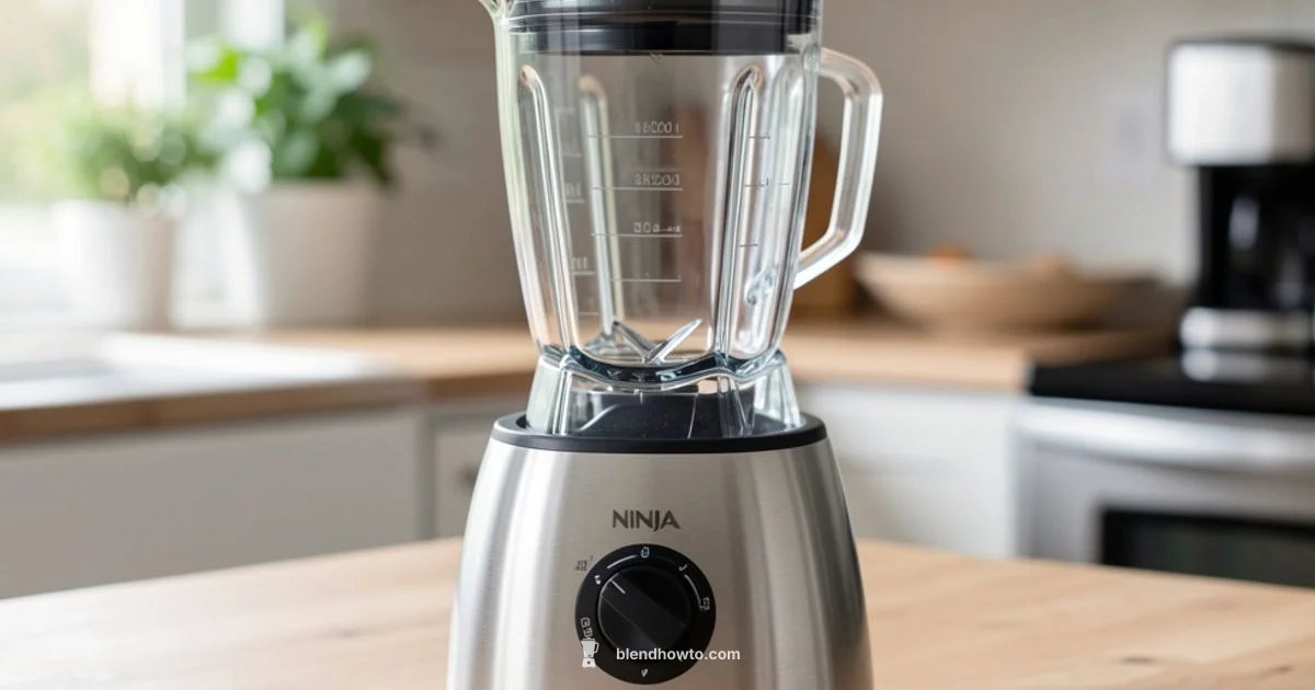 Ninja Top Replacement Ninja Top Replacement - BlendHowTo