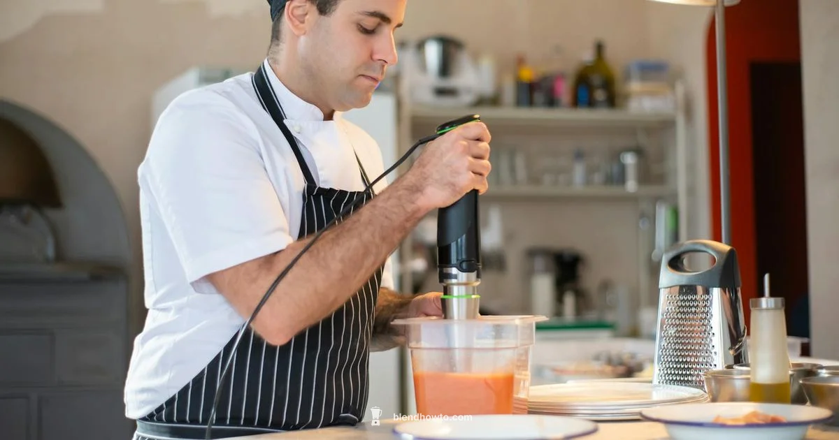 Hand Blender Guide Hand Blender Guide - BlendHowTo