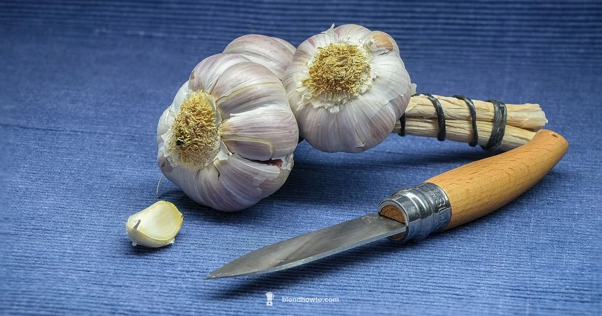 Blender Odor Fix Blender Odor Fix - BlendHowTo