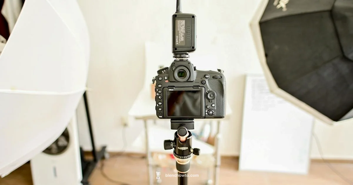 Blender File Basics Blender File Basics - BlendHowTo