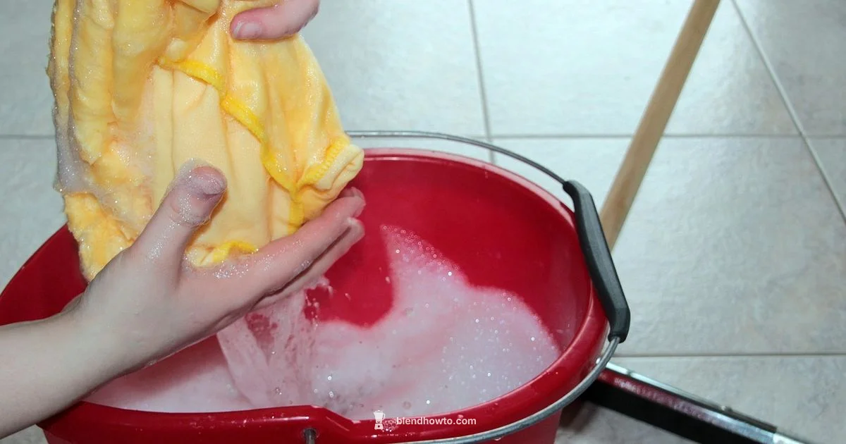 Clean Blender Guide Clean Blender Guide - BlendHowTo