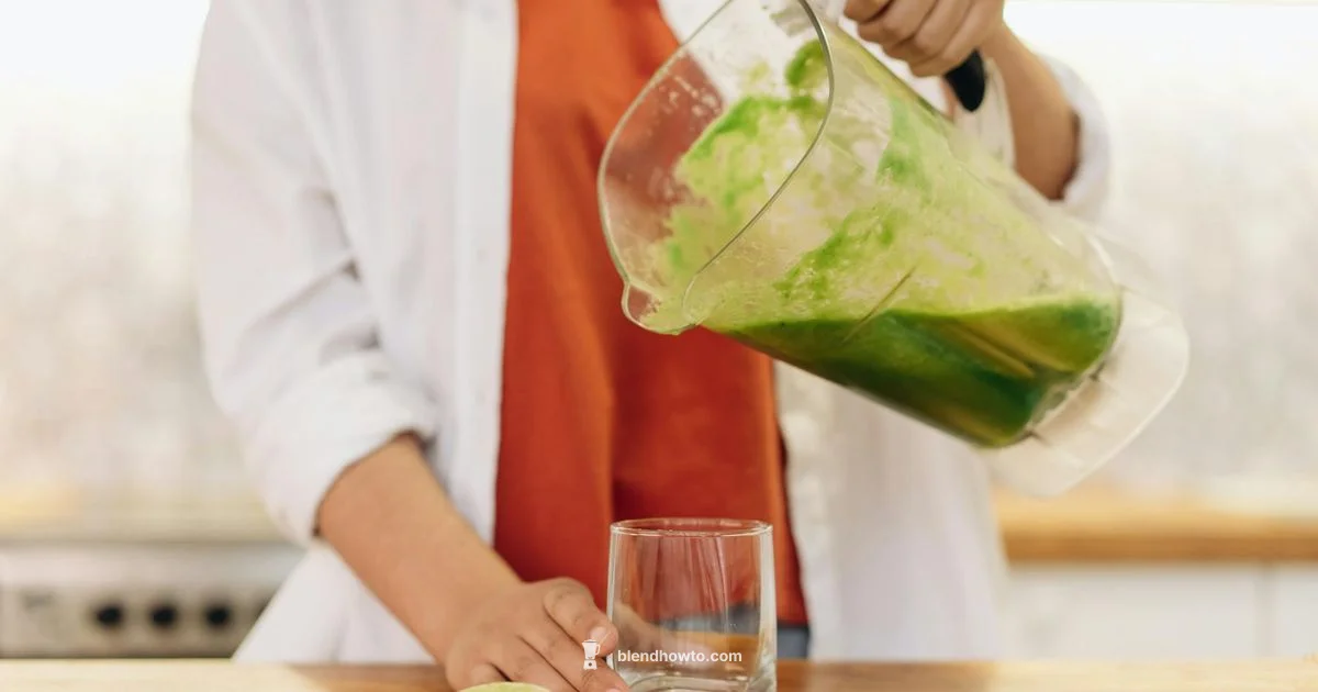 Blender Troubleshoot - BlendHowTo