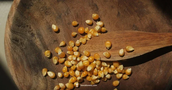 KitchenAid Mixer Essentials - BlendHowTo