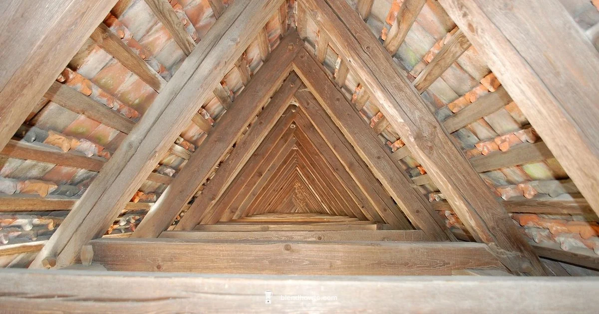 Quad-Only Mesh Guide - BlendHowTo