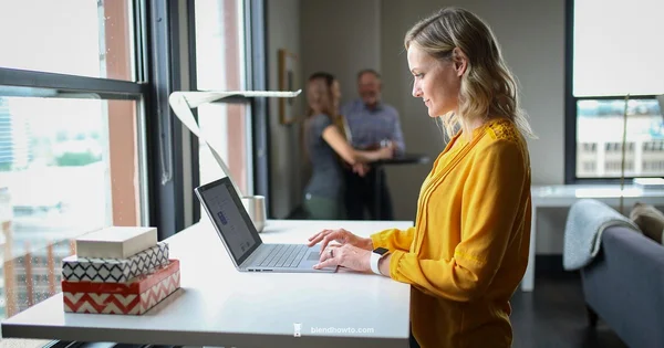 Blender Ownership - BlendHowTo