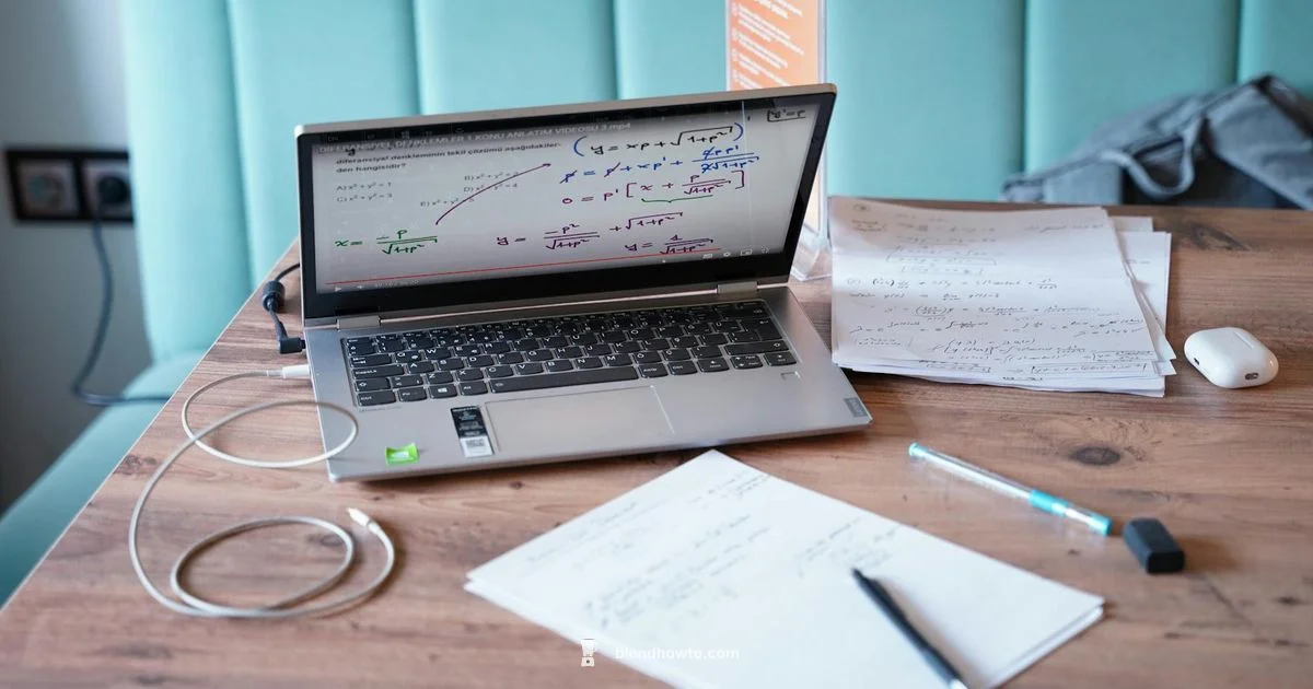 Origins of Blender Origins of Blender - BlendHowTo