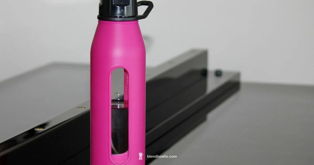 Pink Blender Bottle Guide - BlendHowTo