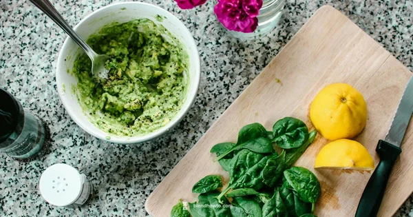 Ninja Blender Help - BlendHowTo