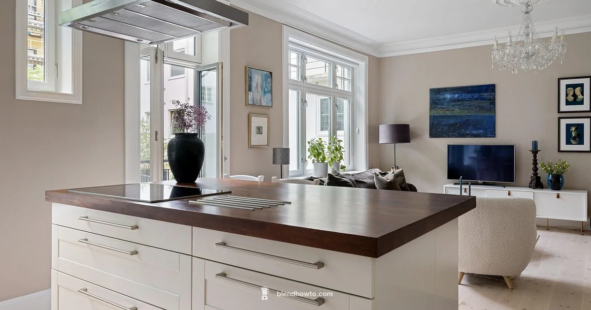 Countertop vs Immersion Countertop vs Immersion - BlendHowTo