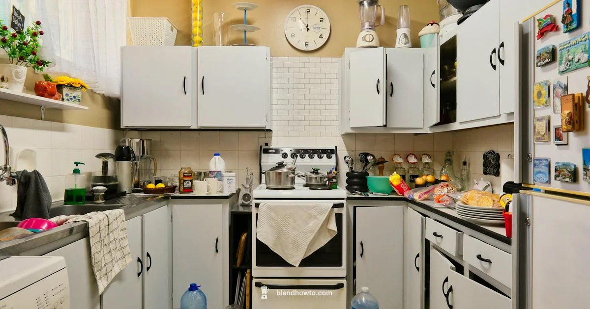 Vitamix Blender Overview Vitamix Blender Overview - BlendHowTo