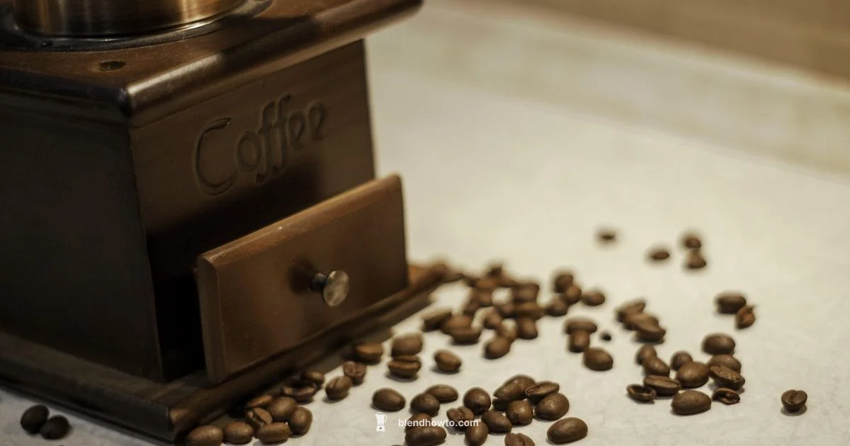 Top Blender & Grinder - BlendHowTo