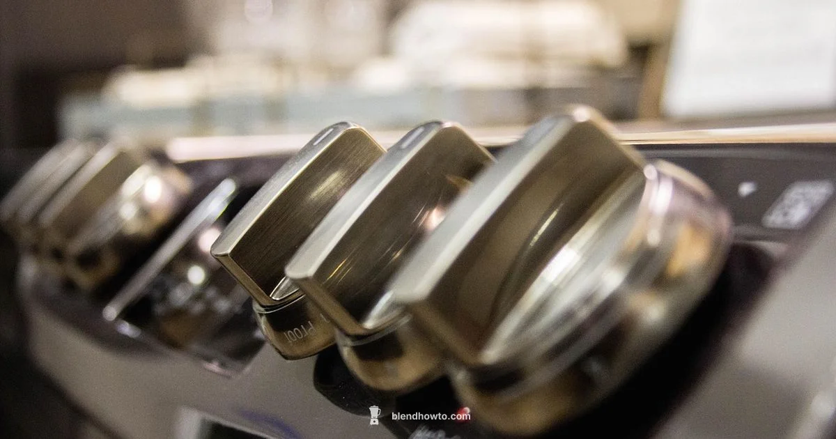 Stainless Pitcher Blender Stainless Pitcher Blender - BlendHowTo