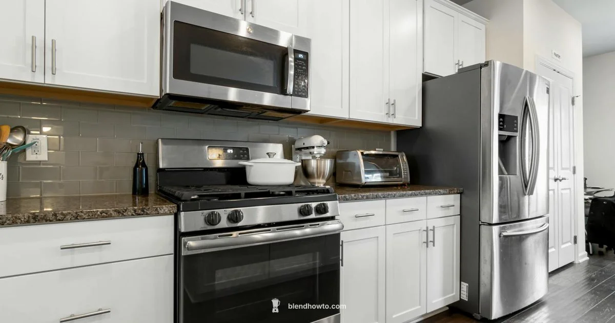 Protein Shake Blenders Protein Shake Blenders - BlendHowTo