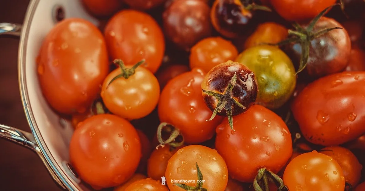 Two-Jar Power - BlendHowTo