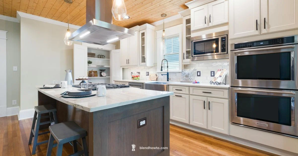 Ninja 1000 Overview Ninja 1000 Overview - BlendHowTo