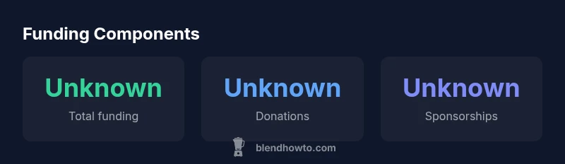 Infographic showing unknown funding components for Blender Foundation: donations, sponsorships, services