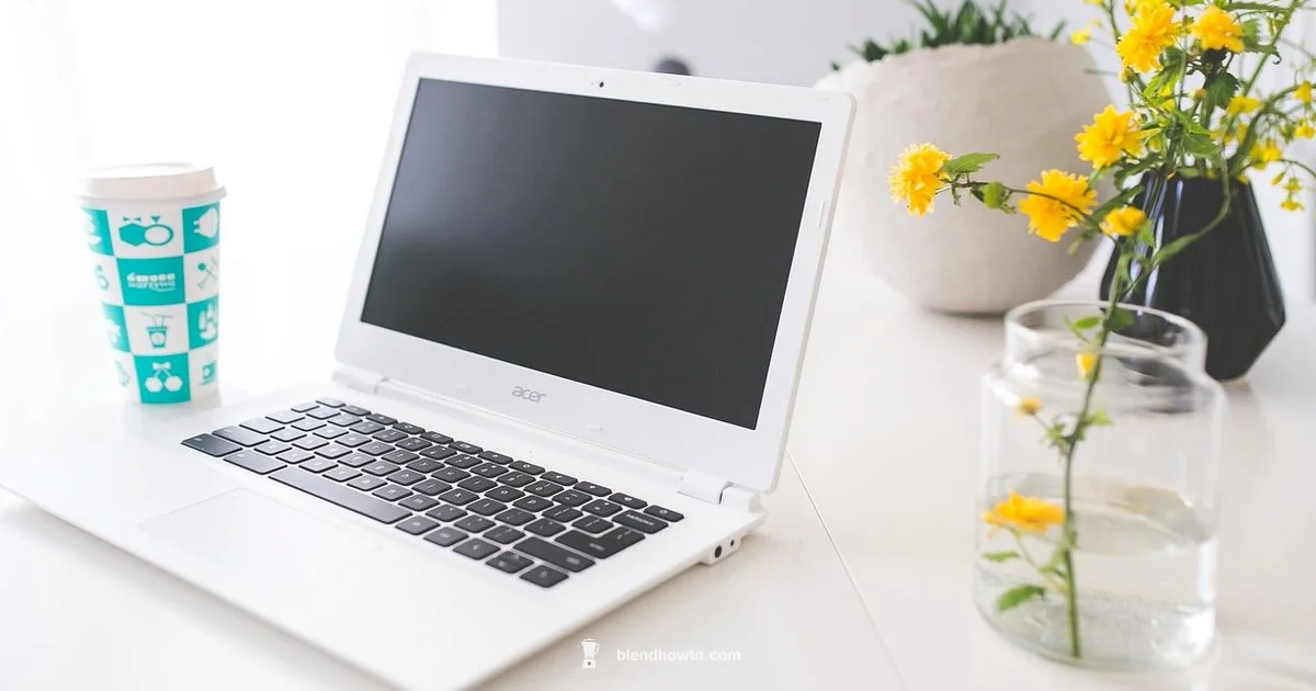 Blender on Chromebook Blender on Chromebook - BlendHowTo