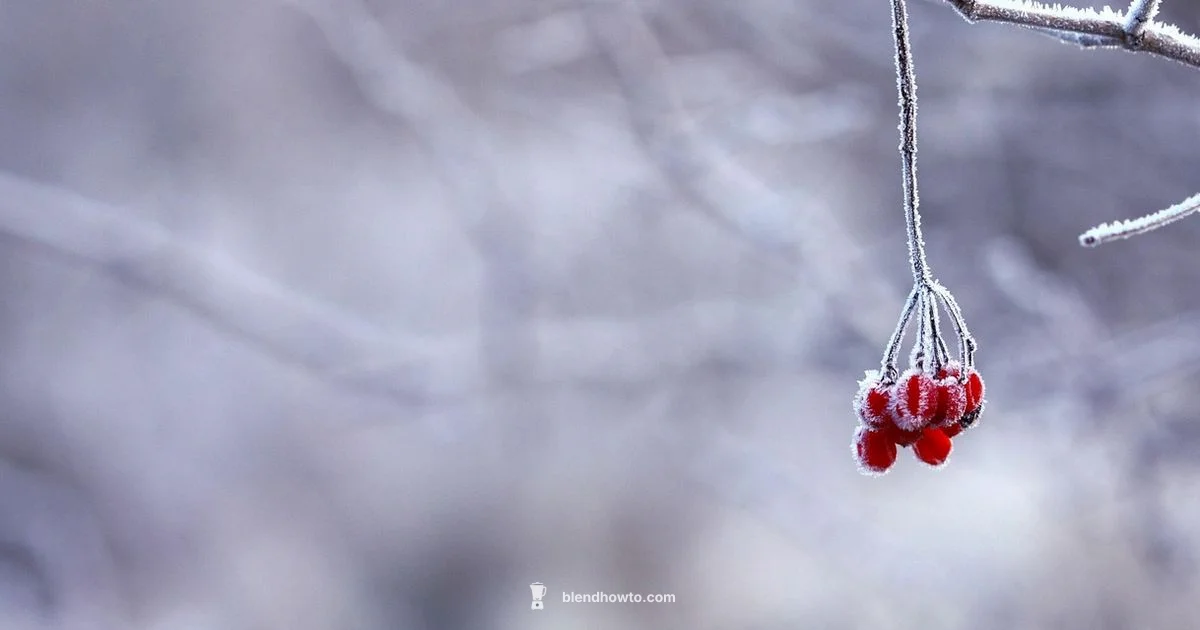Frozen Fruit Blends Frozen Fruit Blends - BlendHowTo