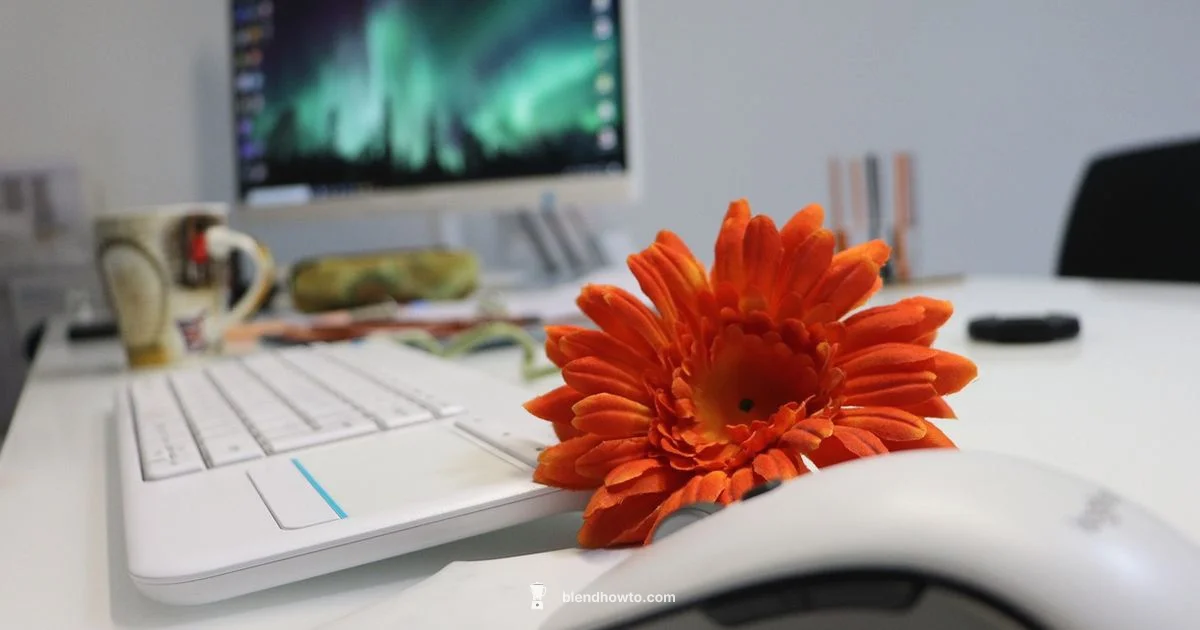 Blender Cost Guide - BlendHowTo