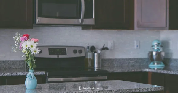 Blenders Health Guide - BlendHowTo