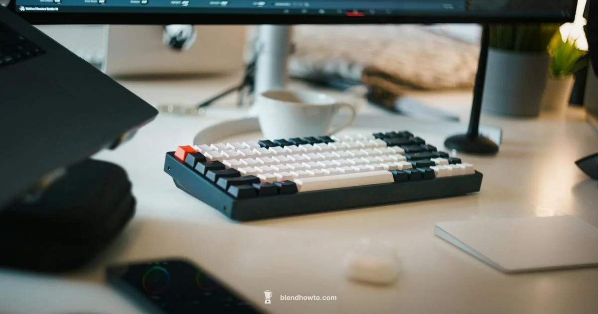 Choosing the Version Choosing the Version - BlendHowTo